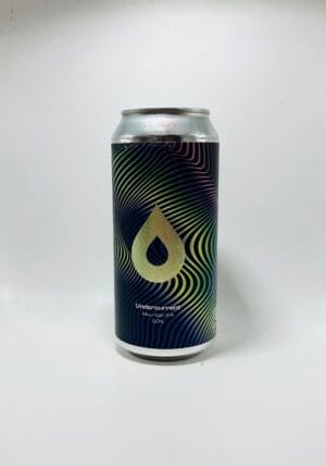 IMG_8422 Polly's - Undercurrent - 6% (440ml)