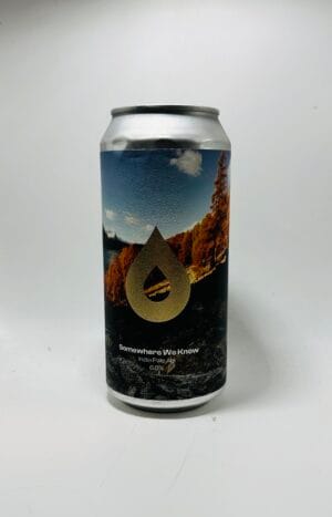 IMG_8476 Polly’s - Somewhere We Know - 6.8% (440ml)