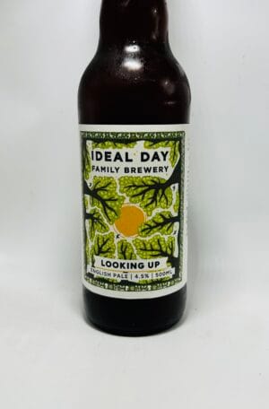 IMG_8631 Ideal Day - Looking Up - 4.5% (500ml)