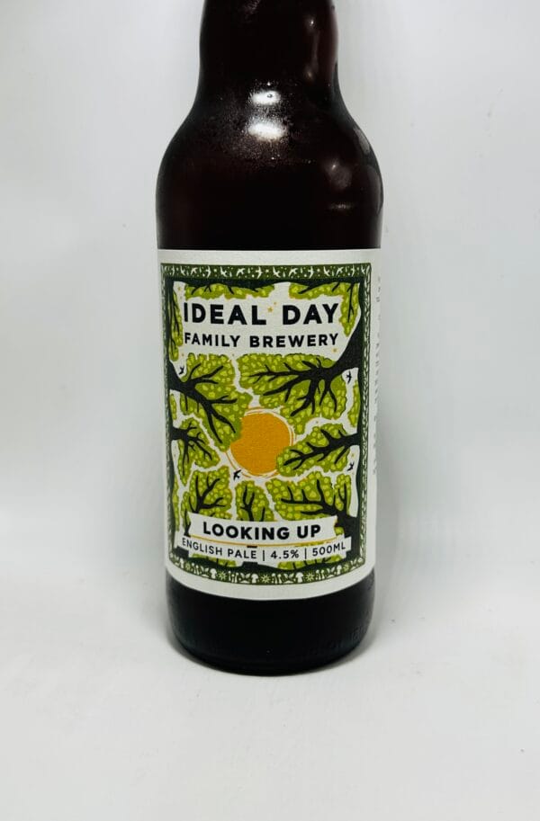 Ideal Day - Looking Up - 4.5% (500ml)